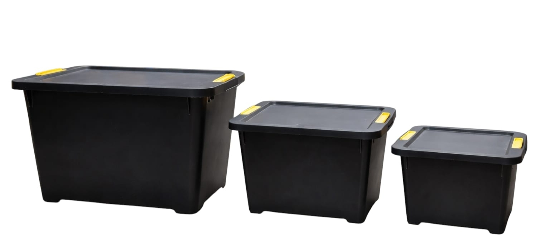 WhatsApp Image 2026-01-20 at 6.21.37 AM